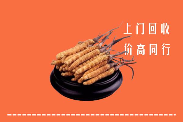 高价求购：合作市回收散虫草