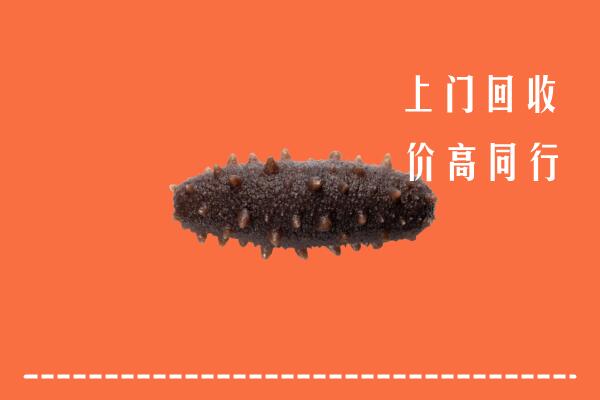 合作市回收海参