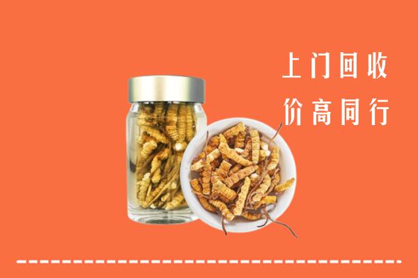 合作市高价回收冬虫夏草