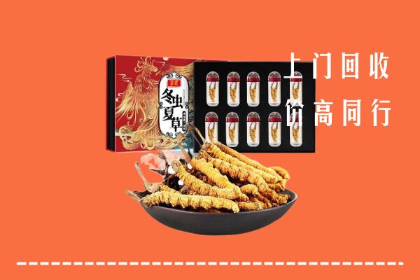 合作市回收虫草